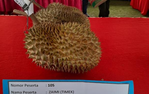 Citra Manis durian lokal dari Dusun Air Petaling Desa Penagan Kecamatan Mendo Barat Kabupaten Bangka menjadi pemenang Kontes dan Bazar Durian Tahun 2020