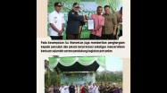 Embedded thumbnail for Wamentan Harvick Panen Padi di Bangka Barat 